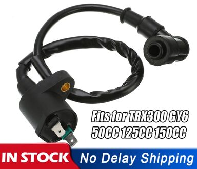 Motorfiets Bobine Voor GY6 Voor TRX300 GY6 50CC 125CC 150CC Motor Scooter Bromfiets Atv Gokart Crossmotor Vervangende Onderdelen