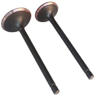 Motorfiets Motor Valve Intake Exhaust Steel Ventiel Olie Afdichting Voor Lifan CG200 Cg 200 200cc Go Cart Dirt Bike Atv buggy