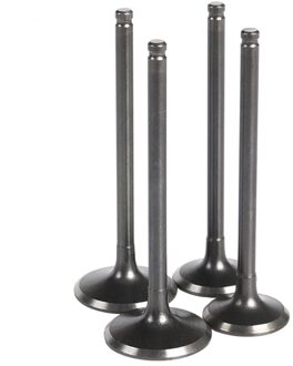 Motorfiets Onderdelen Intake & Uitlaat Ventielen Stem Kit Voor Kawasaki ZZR400 Zzr 400 Inlaat Uitlaatklep 2x intake 2x exhaust