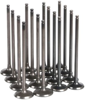 Motorfiets Onderdelen Intake & Uitlaat Ventielen Stem Kit Voor Kawasaki ZZR400 Zzr 400 Inlaat Uitlaatklep 8x intake 8x exhaust