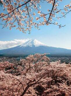 Mount Fuji In Japan Vlies Fotobehang 192x260cm 4-banen