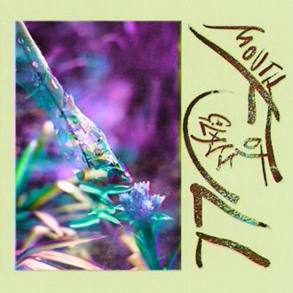 Mouth Full Of Glass - Macie Stewart