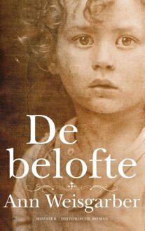 Mozaiek De belofte - eBook Ann Weisgarber (9023996704)