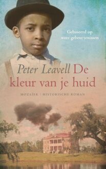 Mozaiek De kleur van je huid - eBook Peter Leavell (9023996534)