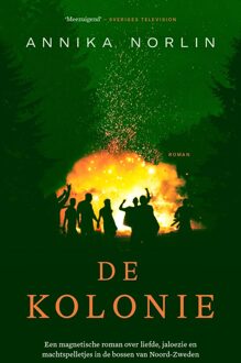 Mozaiek De Kolonie - Annika Norlin - ebook