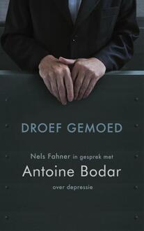 Mozaiek Droef gemoed - eBook Antoine Bodar (9021144654)