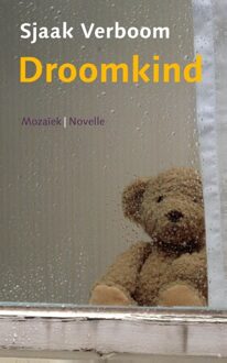 Mozaiek Droomkind - eBook Sjaak Verboom (9023930754)