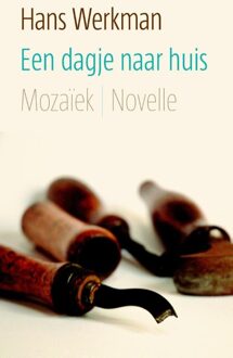 Mozaiek Een dagje naar huis - eBook Hans Werkman (9023930320)