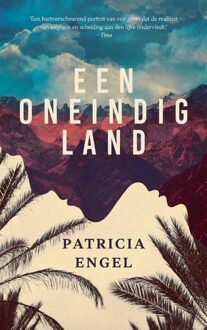 Mozaiek Een oneindig land - Patricia Engel - ebook