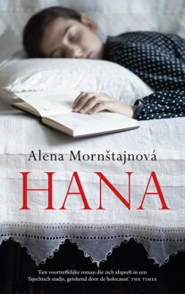 Mozaiek Hana - Alena Mornstajnová - ebook