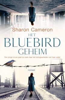 Mozaiek Het Bluebird geheim - Sharon Cameron - ebook