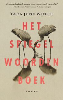 Mozaiek Het spiegelwoordenboek - Tara June Winch - ebook