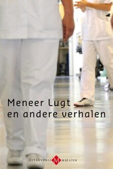 Mozaiek Meneer Lugt en andere verhalen - eBook Hans Werkman (9023930665)