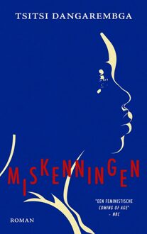 Mozaiek Miskenningen - Tsitsi Dangarembga - ebook