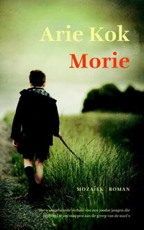 Mozaiek Morie - eBook Arie Kok (9023930339)