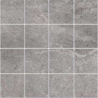 Mozaiek Pamesa Erding Grey 30x30 cm Gerectificeerd Mat Grijs Pamesa