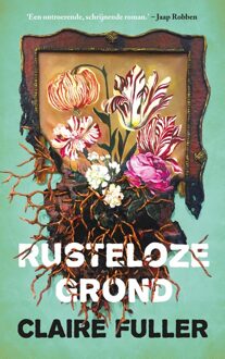 Mozaiek Rusteloze grond - Claire Fuller - ebook