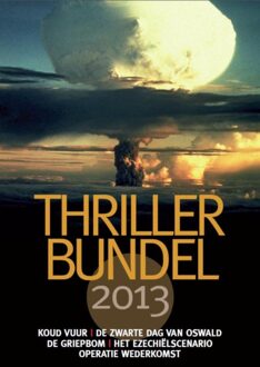 Mozaiek Thrillerbundel 2013 - eBook Noel Hynd (902399650X)