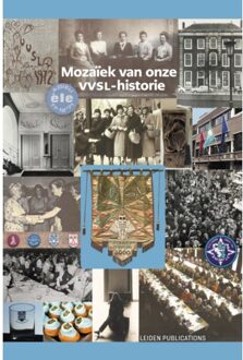 Mozaïek Van Onze Vvsl-Historie