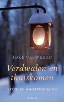 Mozaiek Verdwalen en thuiskomen - eBook Joke Verweerd (9023918789)