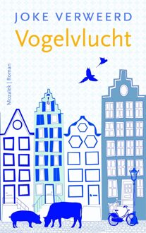 Mozaiek Vogelvlucht - eBook Joke Verweerd (9023978536)