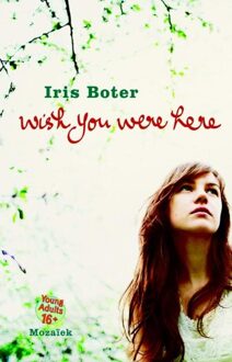 Mozaiek Wish you were here - eBook Iris Boter (9023919602)