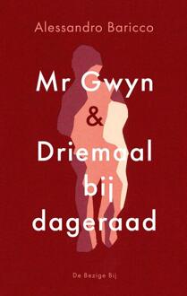 Mr Gwyn en Driemaal bij dageraad -  Alessandro Baricco (ISBN: 9789403134826)