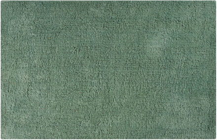 MSV Badkamerkleedje/badmat tapijtje voor op de vloer - groen - 45 x 70 cm
