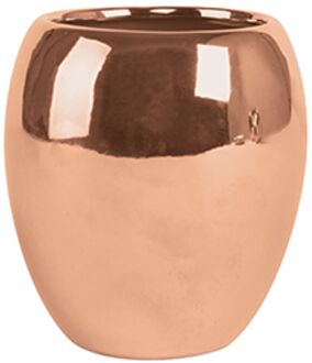 MSV Beker Kymi Koper