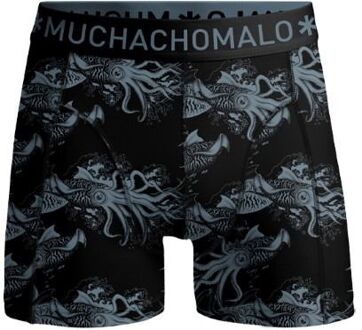 Muchachomalo 3-pack Calamari multi - S