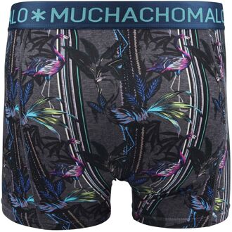 Muchachomalo Boxershorts 3-Pack Flamingo Groen - L,M,S,XL