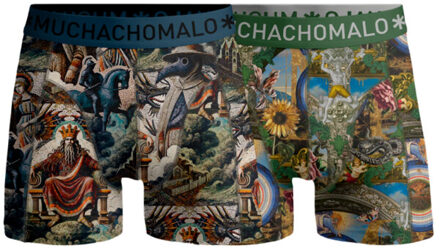 Muchachomalo Boys 2-pack boxer shorts premodern - maat 110/116 Veelkleurig