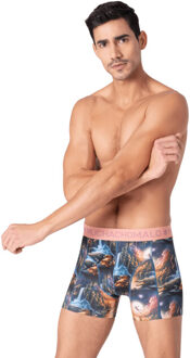 Muchachomalo Heren 2-pack boxershorts pinocchio peter Veelkleurig - S