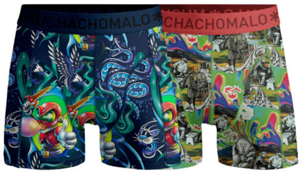 Muchachomalo Jongens 2-pack boxershorts new school Veelkleurig - 146/152