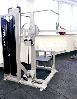Multi Hip Machine