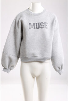 Muse pullover sweaters nkf03017 Grijs - L