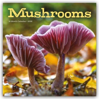 Mushrooms Square Wall Sunday Start Calen - Carousel Calendar