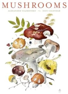 Mushrooms - Viazmensky, Alexander