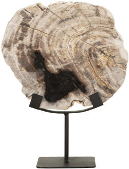 Must Living Ornament 'Fossil' Versteend hout, 33cm hoog - 33 cm