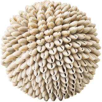 Must Living Ornament 'Sand Shell' Schelpen