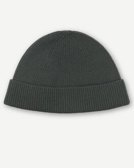 Muts/pet m24400017 Groen - One size