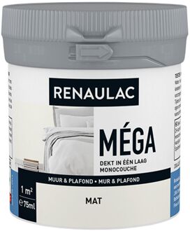 Muur & Plafond Verftester - Mat - Ral 9016 - 75ml