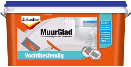 muurglad vochtbestendig - 5 liter