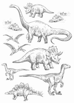 Muursticker Dinosaurussen Zwart Wit - 47,5 Cm X 66 Cm - 156105