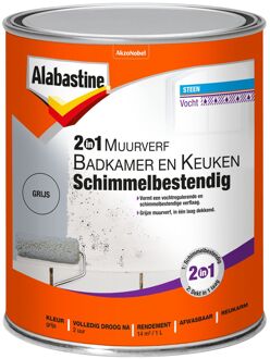 muurverf badkamer en keuken schimmelbestendig grijs 1 ltr