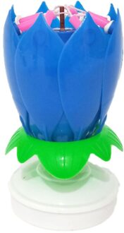 Muziek Kaars Dubbele Bloesems Verjaardagstaart Platte Draaiende Elektronische