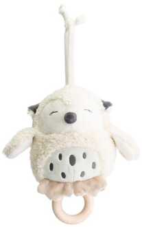 muziekdoosje Kleine Vriendjes