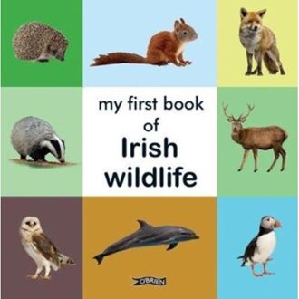 My First Book Of Irish Wildlife - First Steps