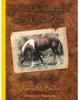 My Horse, The Hummingbird And A Very Small Tiger - Amita McBride