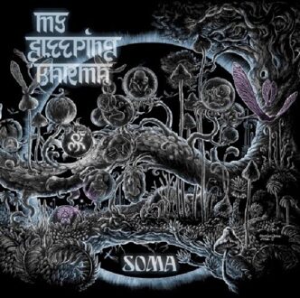 My Sleeping Karma - Soma